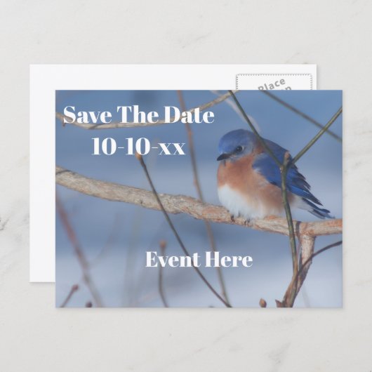Save The Date Bluebird Nature Personalized Aankondigingskaart (Voorkant / Achterkant)