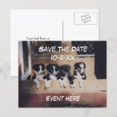 Save The Date Border Collie Puppies Dog Aankondigingskaart (Voorkant / Achterkant)