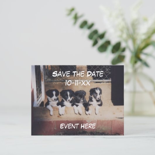 Save The Date Border Collie Puppies Dog  Aankondigingskaart (Staand voorkant)