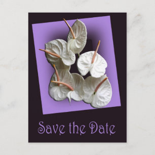 Save the Date briefkaart 2 - Witte Anthuriums