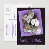 Save the Date briefkaart 2 - Witte Anthuriums (Voorkant / Achterkant)