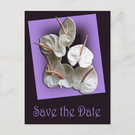 Save the Date briefkaart 2 - Witte Anthuriums (Voorkant)
