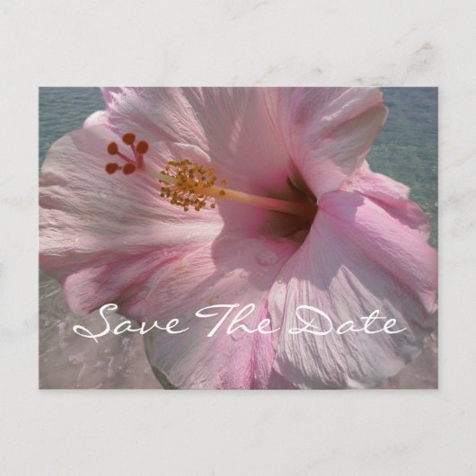 Save the Date Briefkaart - Tropical Beach Wedding (Voorkant)