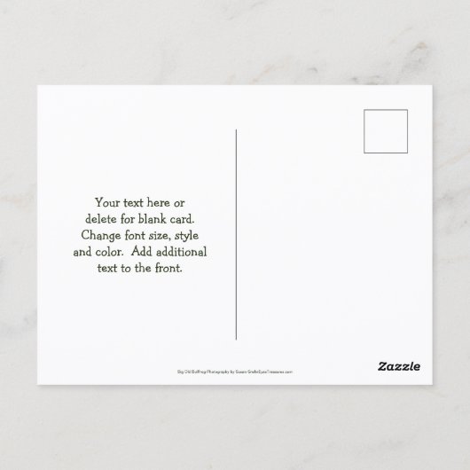 Save The Date Bullfrog Nature Briefkaart (Achterkant)