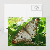 Save the Date Butterfly op het Jasmine Briefkaart (Voorkant / Achterkant)