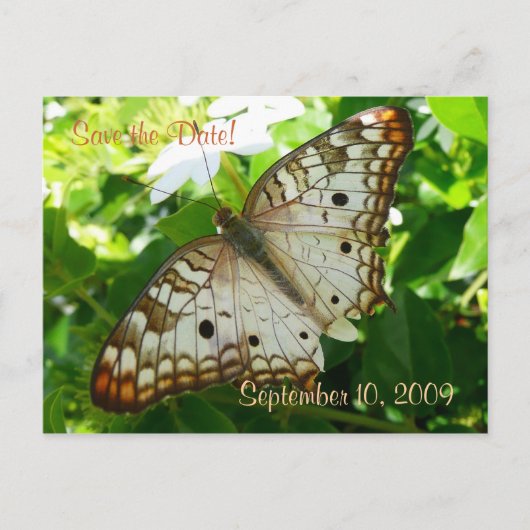 Save the Date Butterfly op het Jasmine Briefkaart (Voorkant)