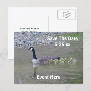 Save The Date Canadese Ganzen Natuur  Aankondigingskaart