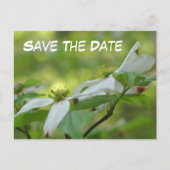 Save The Date Dogwood Flower Photo Aankondigingskaart (Voorkant)