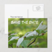 Save The Date Dogwood Flower Photo Aankondigingskaart (Voorkant / Achterkant)