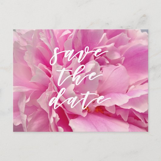 Save the date! Elegant Pink Peonies Briefkaart (Voorkant)