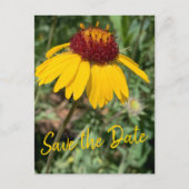 Save the Date Familie Reünie Vervangbare Foto Briefkaart (Voorkant)