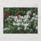 Save The Date Hibiscus Phlox Flower Garden Aankondigingskaart (Voorkant)