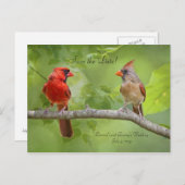 Save the date! kardinaalgepaar aankondigingskaart (Voorkant / Achterkant)