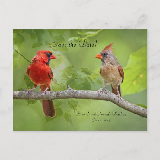 Save the date! kardinaalgepaar aankondigingskaart (Voorkant)