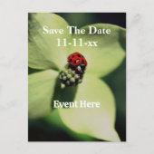 Save The Date Ladybug On Flower Aankondigingskaart (Voorkant)