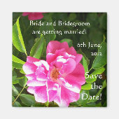  'Save the Date' Magnet, Roze rozen Magneet (Voorkant)