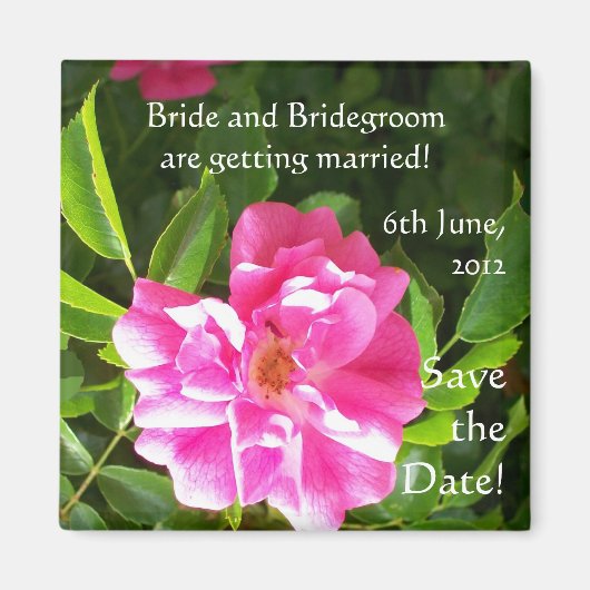  'Save the Date' Magnet, Roze rozen Magneet (Voorkant)