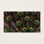 Save-the-Date moderne elegante chique pauwenbruid Visitekaartje (Achterkant)