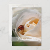 Save the date. Mooie witte rozenbloem Aankondigingskaart (Voorkant / Achterkant)