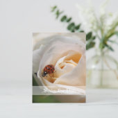 Save the date. Mooie witte rozenbloem Aankondigingskaart (Staand voorkant)