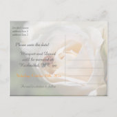 Save the date. Mooie witte rozenbloem Aankondigingskaart (Achterkant)