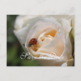 Save the date. Mooie witte rozenbloem Aankondigingskaart