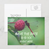 Save The Date Red Dragonfly Nature  Aankondigingskaart (Voorkant / Achterkant)