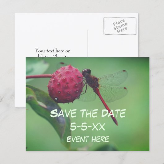 Save The Date Red Dragonfly Nature  Aankondigingskaart (Voorkant / Achterkant)