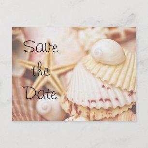 Save the Date Seashell Briefkaart