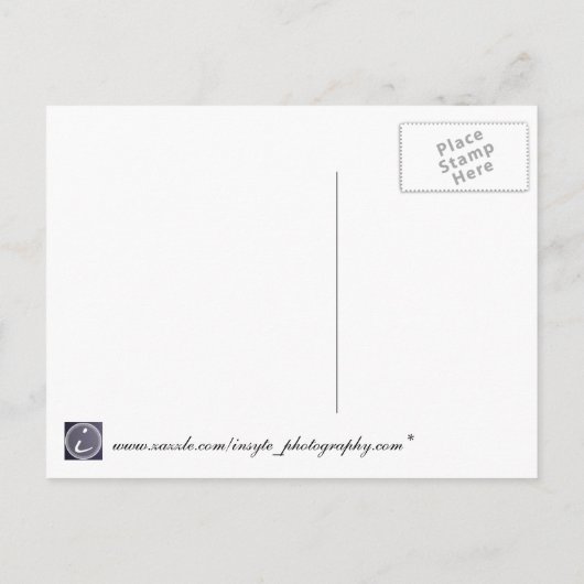 SAVE THE DATE - Shells on Beach Aankondigingskaart (Achterkant)