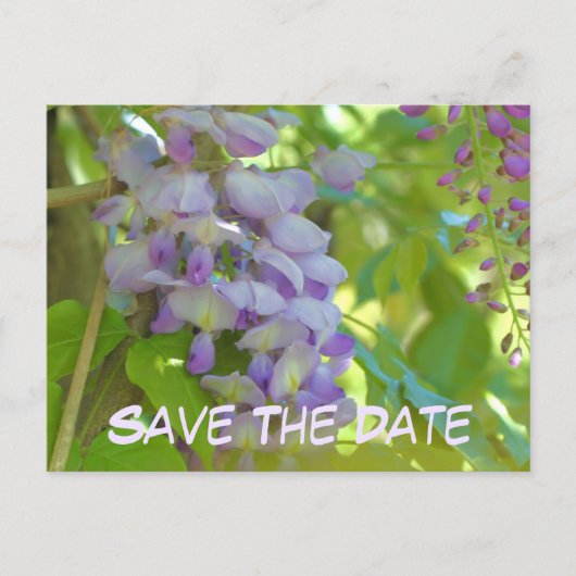 Save The Date Wisteria Flower  Aankondigingskaart (Voorkant)