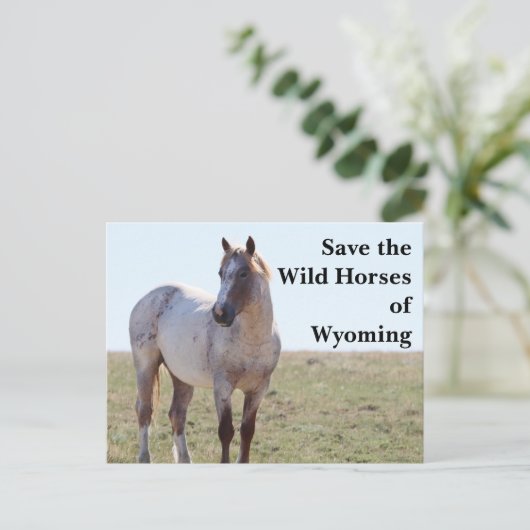 Save the Wild Horses of Wyoming Postcard Briefkaart (Staand voorkant)