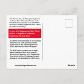 Save the Wild Horses of Wyoming Postcard Briefkaart (Achterkant)