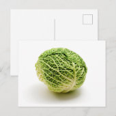 Savooiekool Briefkaart (Voorkant / Achterkant)