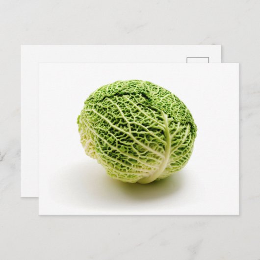 Savooiekool Briefkaart (Voorkant / Achterkant)