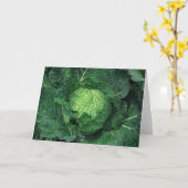 Savooiekool Kaart (Gele Bloem)