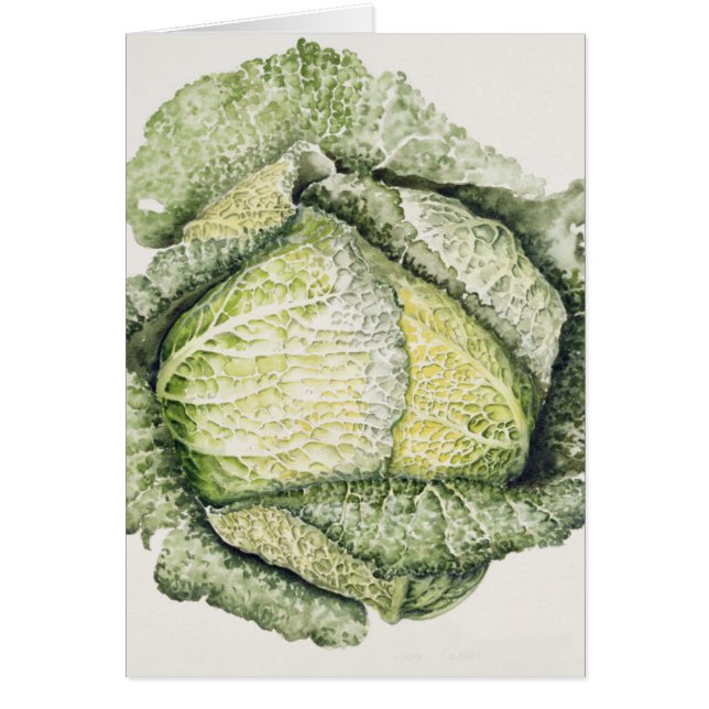 Savoy Cabbage (Voorkant)
