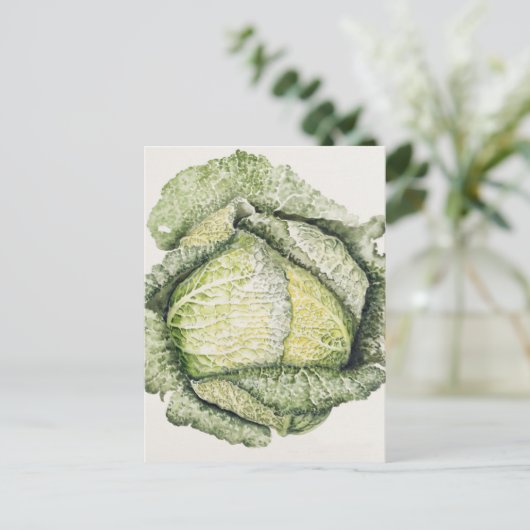 Savoy Cabbage Briefkaart (Staand voorkant)