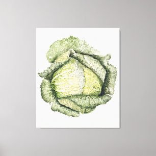 Savoy Cabbage Canvas Afdruk
