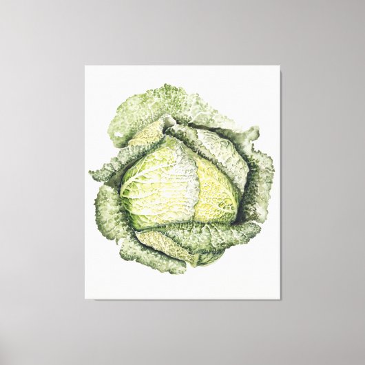 Savoy Cabbage Canvas Afdruk (Voorkant)