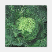 Savoy Cabbage Magneet (Voorkant)
