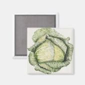Savoy Cabbage Magneet (Voorkant / Achterkant)