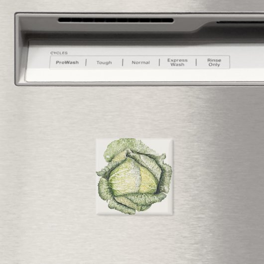Savoy Cabbage Magneet (Insitu (Vaatwasser))