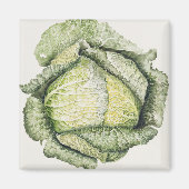 Savoy Cabbage Magneet (Voorkant)