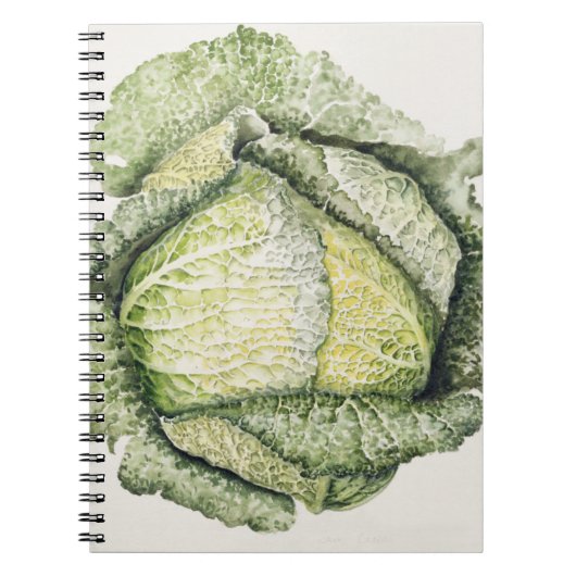 Savoy Cabbage Notitieboek (Voorkant)