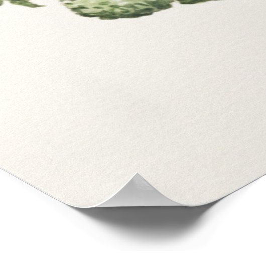 Savoy Cabbage Poster (Hoek)