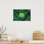 Savoy Cabbage Poster (Keuken)