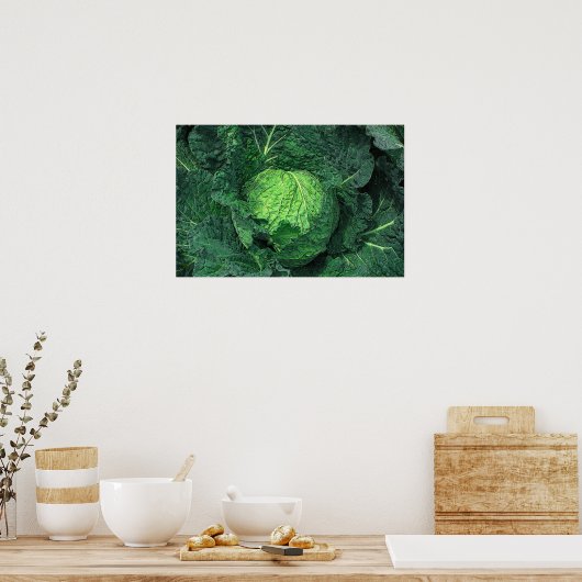 Savoy Cabbage Poster (Keuken)
