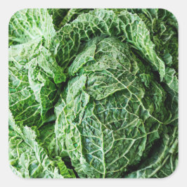 Savoy Cabbage Vierkante Sticker