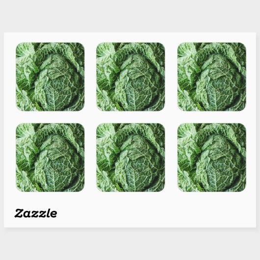 Savoy Cabbage Vierkante Sticker (Vel)